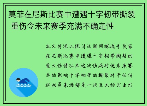 莫菲在尼斯比赛中遭遇十字韧带撕裂 重伤令未来赛季充满不确定性